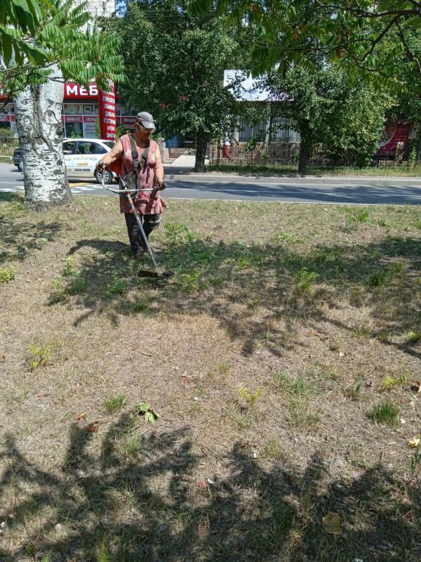 Василий Ткачук: Сегодня МУП АГД "ЗЕЛЕНСТРОЙ КАЛИНИНСКОГО РАЙОНА" проводит работы по покосу травы на бульваре Шахтостроителей в Калининском внутригородском районе города Донецка