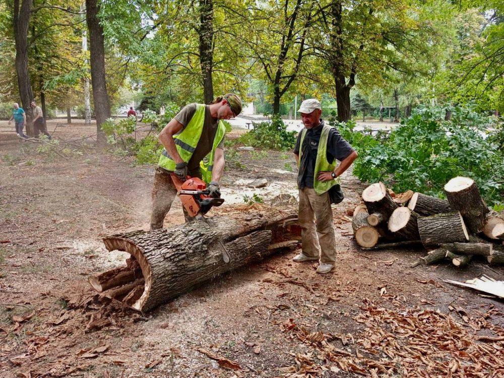 Михаил Меренков: Трудовой день рабочих зелёного строительства Буденновского района 6 августа