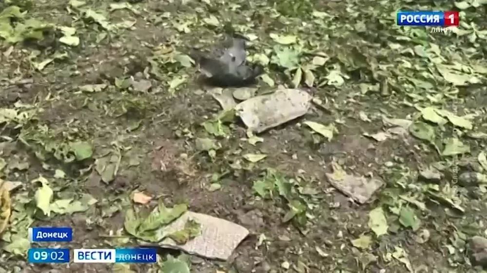 Враг продолжает обстрелы территории Донецкой Народной Республики