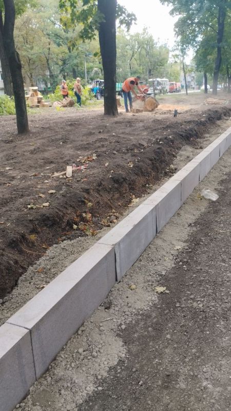 Василий Ткачук: Силами МУП АГД "ЗЕЛЕНСТРОЙ КАЛИНИНСКОГО РАЙОНА" ведутся работы по обрезке зеленых насаждений по проспекту Ильича