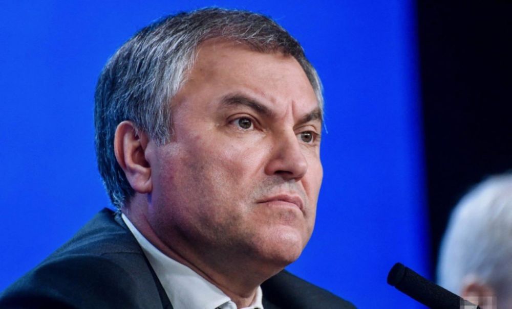 В Госдуме рассмотрят 28 законопроектов, ужесточающих миграционную политику — Вячеслав Володин