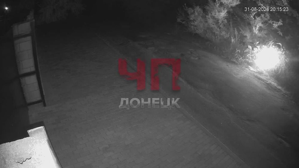 31 ������� 2024 ���� � ������������ ������ ���� ����������� ����� ��������� ������ ����� � ��������������� �����, �������� � ������� �����