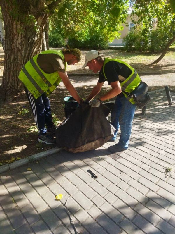 ������ ��������: �������� ���� ������� ������� ������������� ������������� ������