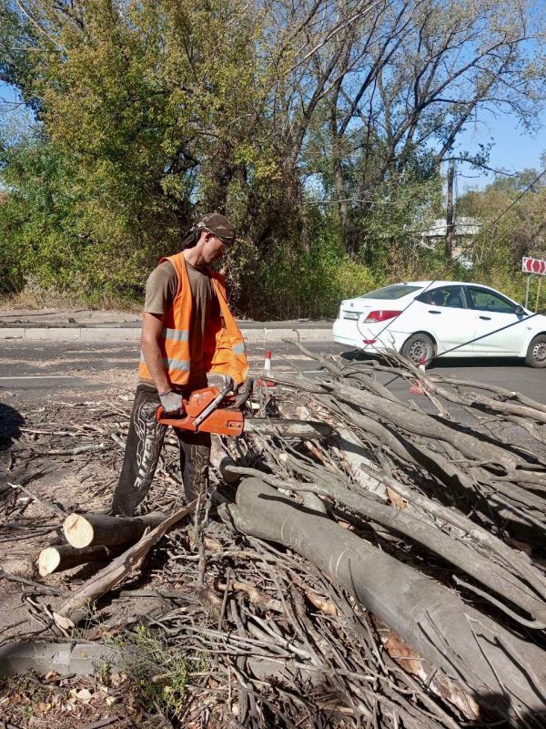 Михаил Меренков: Рабочий день Зеленстроя Буденновского района 1 октября