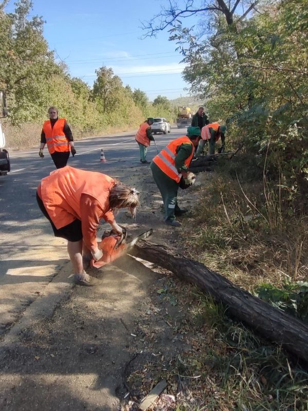 Иван Адамец: Один из трудовых дней сотрудников МУП АГД «Зеленстрой», которые с помощью подручных инструментов облагораживают Куйбышевский район
