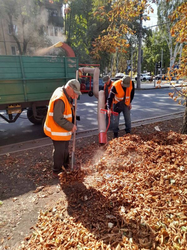 Василий Ткачук: Сегодня 4 октября, силами МУП АГД "ЗЕЛЕНСТРОЙ КАЛИНИНСКОГО РАЙОНА" продолжаются работы по благоустройству центральной части бульвара Шевченко в Калининском внутригородском районе г.Донецка