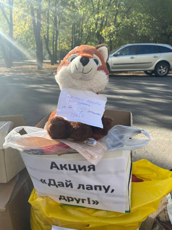 Василий Ткачук: Сегодня, в рамках Федеральной акции «Дай лапу, друг!», посвященной Всемирному дню защиты животных...