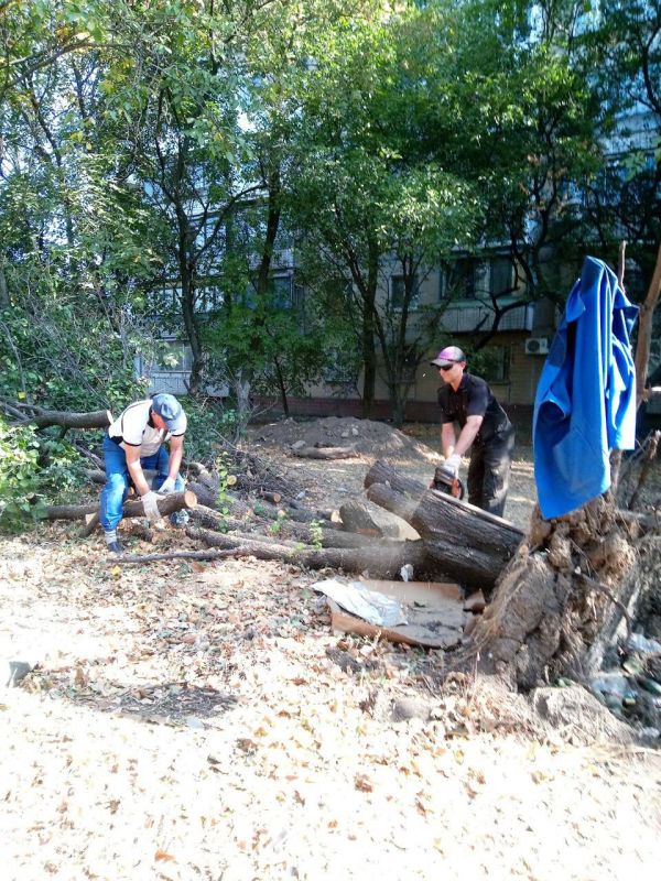 Василий Ткачук: Силами МУП АГД "Управляющая компания Калининского района г.Донецка" выполнены работы по санитарной обрезке ветвей деревьев на придомовой территории жилых домов по адресам: