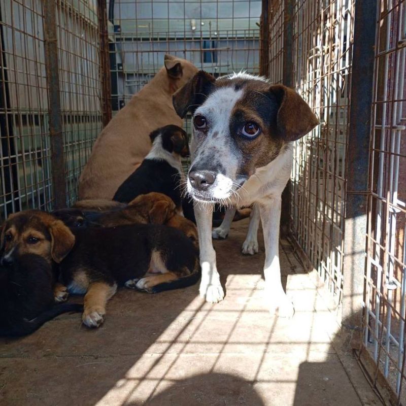 ������ ��������: ����� ��������� �������� � ������������ � ������������ ������� ������