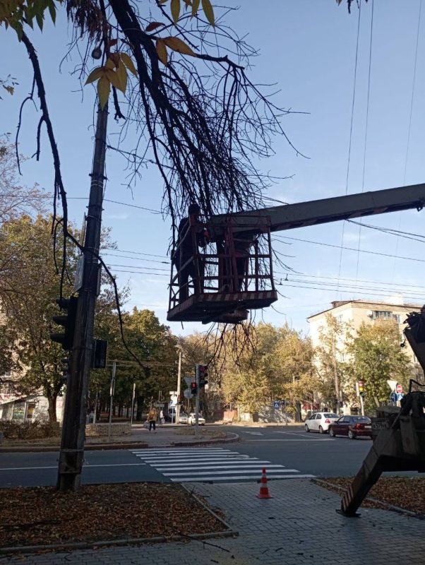 Василий Ткачук: Силами МУП АГД "Управляющая компания Калининского района г.Донецка" выполнены работы по кронированию и спилу аварийных деревьев по адресам: