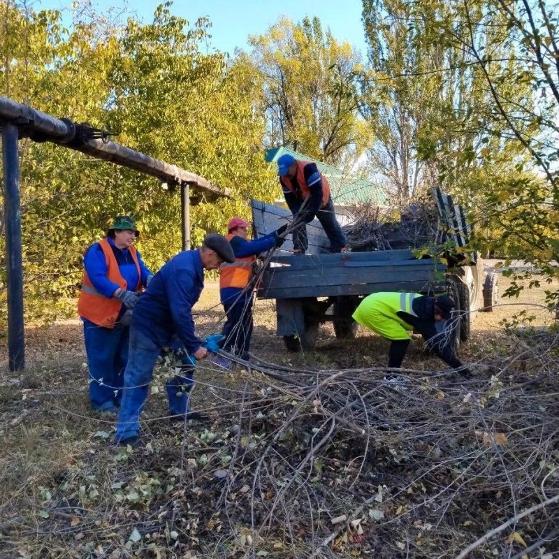 ������ ��������: ������ ���������� ���������� �������� �������� ����������� ������������� ������