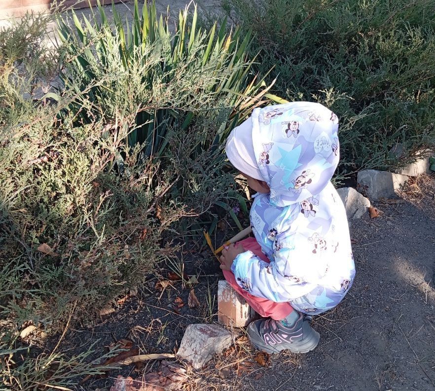 Иван Адамец: С раннего утра жители посёлков Грабари и Октябрьский рудник, вооружившись метлами, граблями и садовыми инструментами, вышли на улицы своего района