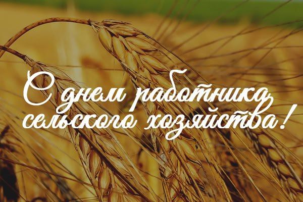 ������� ��������: ��������� ��������� ����, ��������� � �������� ����������������� ���������! ���������� � ���� ��������� ��������� ��������� � ���������������� ��������������!