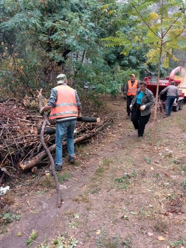 Василий Ткачук: Силами МУП АГД "Управляющая компания Калининского района г.Донецка" выполнены работы по уборке и переработке в щепу спиленных сухих деревьев, на придомовых территориях жилых домов по адресам:
