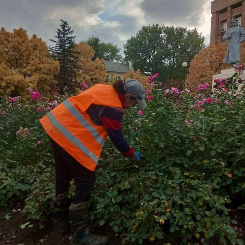 Михаил Меренков: Буденновский зеленстрой сегодня