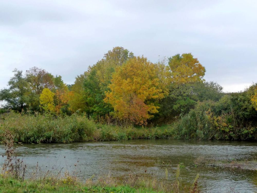 Федеральное Правительство выделило 30 млн