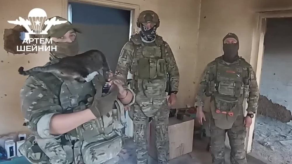 ���� ������: ��������� ������������ ����� ����������� ������ ����� � �������� � ������ ������������� ���������� � ������������, ����������� � ����� ��������