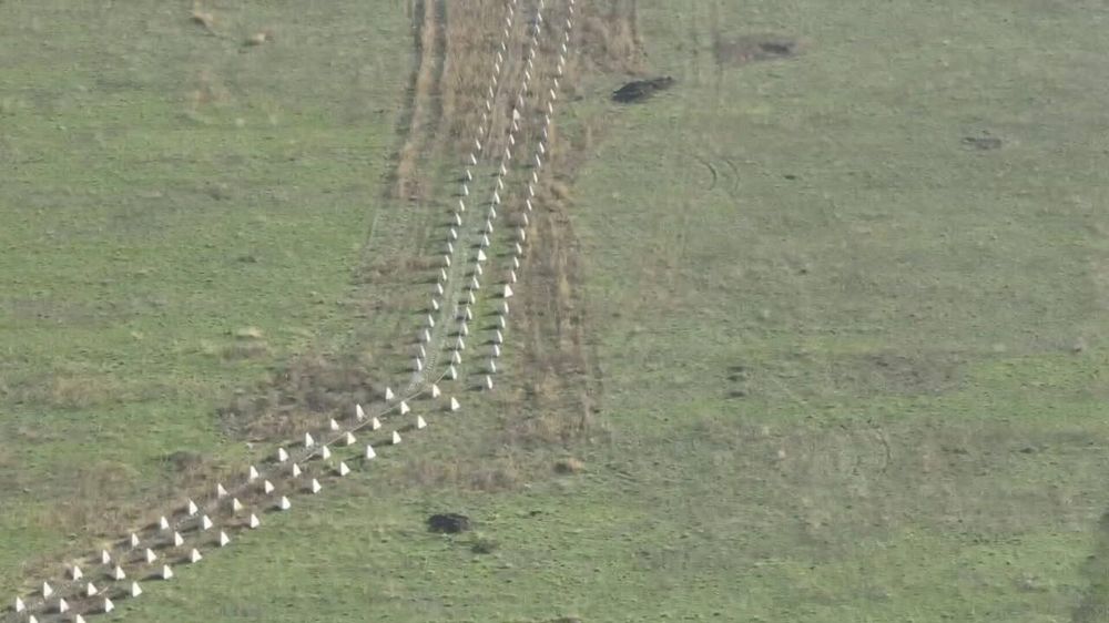 �������� ����� �����, ������� ��� ������������� "���� �������" � ��������������� - ���������