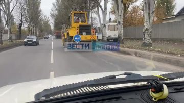 В Кировском районе Донецка проходит масштабная обрезка ветхих деревьев вдоль ул. Кирова