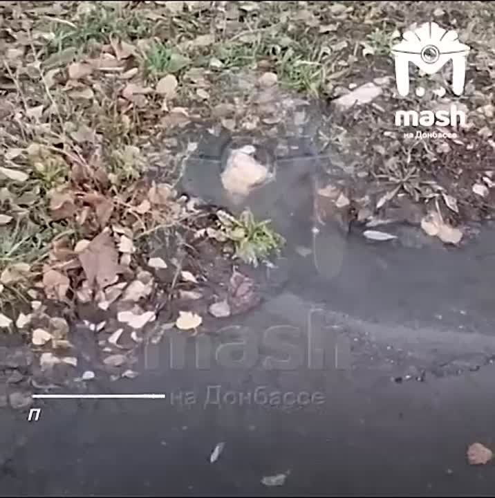 ������ ������������� ������, ������� � ���� ��� ����, ��������� ������������ ������ � ��