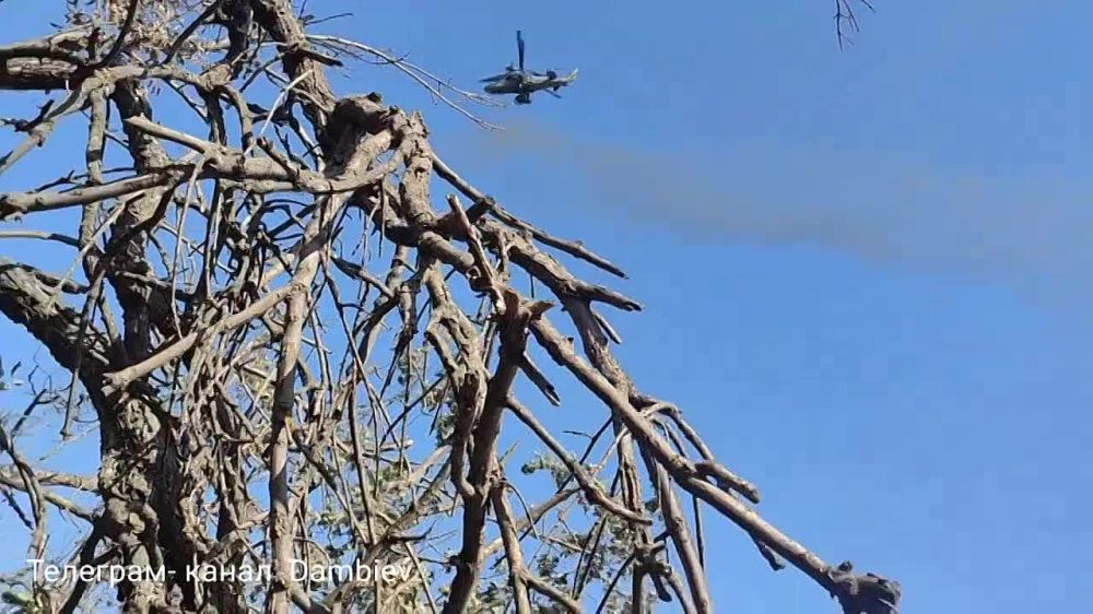 Чингис Дамбиев: Боевые вертолеты Ка-52 армейской авиации ВКС России работают по позициям боевиков киевского режима на Южно-Донецком направлении