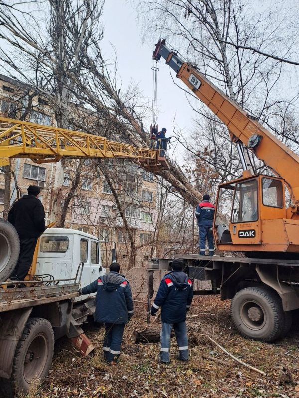 Наталья Бегуненко: Силами коммунальных предприятий Петровского района были выполнены работы по распиловке и вывозу упавшего аварийного дерева по улице Петровского, 254
