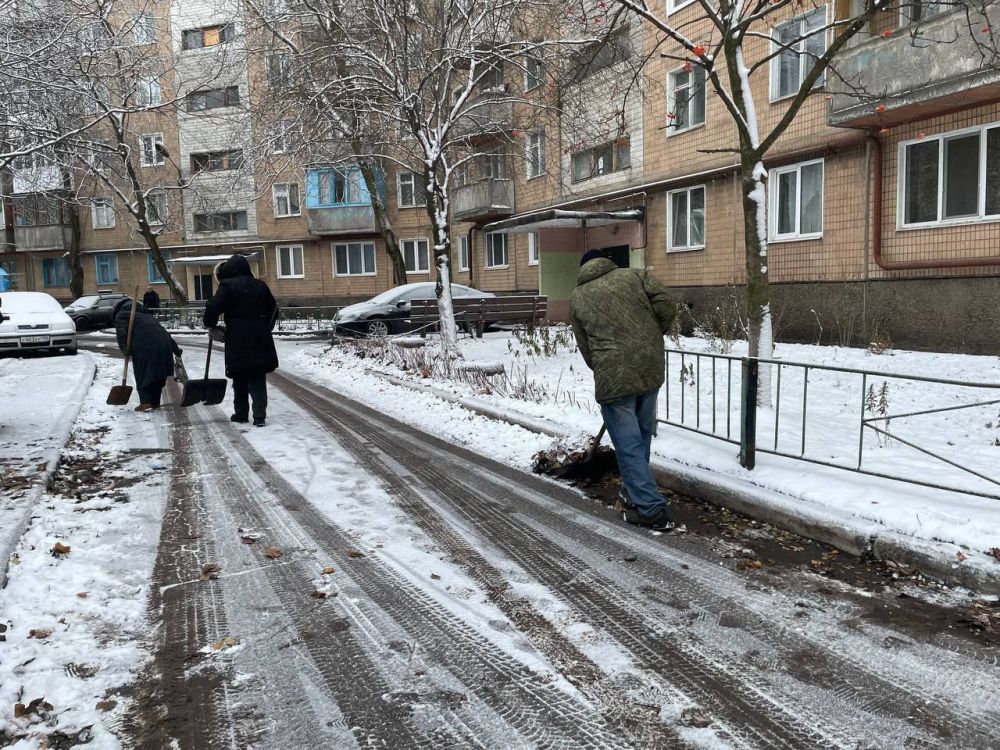 ���� ������: �������, 05.12.2024, � ������ ������� ���������� �����, ������������ ������������� ������������ ������� ������ ���������������� ���������� ������������ ������ ����� ��� "����������� -2015" ������� ������� �...