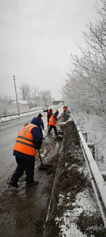 ����� ���������: �������, 05.12.2024 ����, ������ ����������� �������-������������ ����������� ������������� ���������������� ������ �. ������� ���� ��������� ��������� ������: