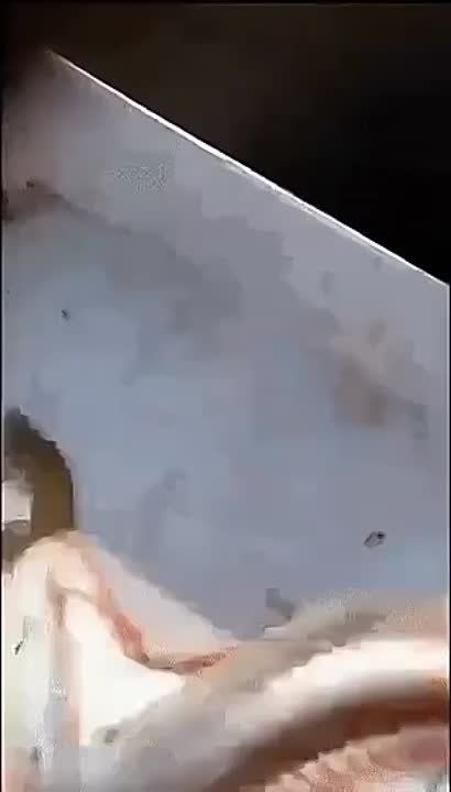 ������� ������ ������������� ���