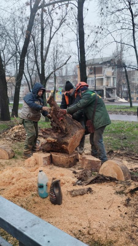 Василий Ткачук: Силами МУП АГД "Управляющая компания Калининского района г.Донецка" и МУП АГД "ЗЕЛЕНСТРОЙ КАЛИНИНСКОГО РАЙОНА" выполнены работы по сносу и распилу аварийного дерева по проспекту Ильича в Калининском районе...