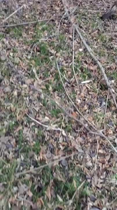 Чингис Дамбиев: Еще один трофей разведчиков группировки "Восток" ВС РФ из Бурятии на Южно-Донецком направлении