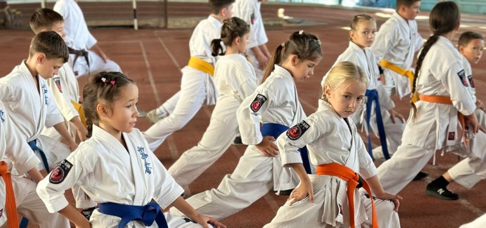 14 декабря в городе Донецке прошло открытое Первенство Донецкой Народной Республики по киокусинкай, собравшее под свои эгидой участников разных возрастных категорий