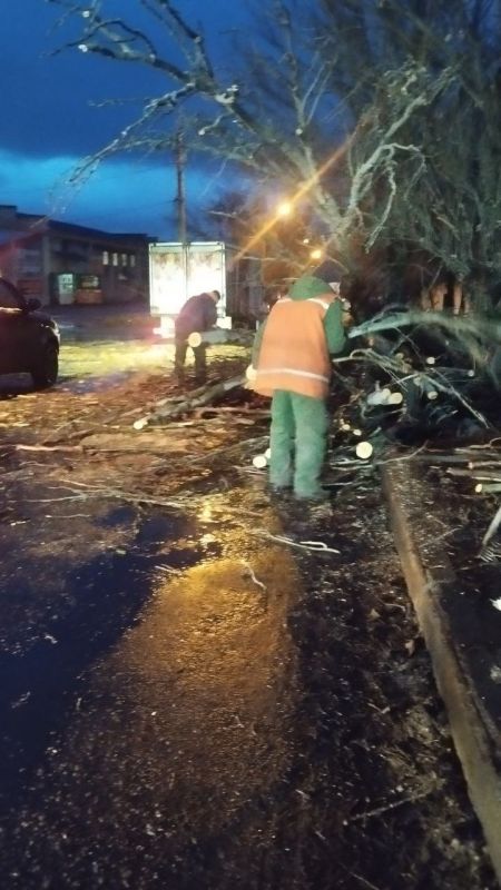 Василий Ткачук: Сегодня силами МУП АГД "ЗЕЛЕНСТРОЙ КАЛИНИНСКОГО РАЙОНА" осуществляется распил и уборка упавших деревьев в результате непогоды по адресу улица Сеченова