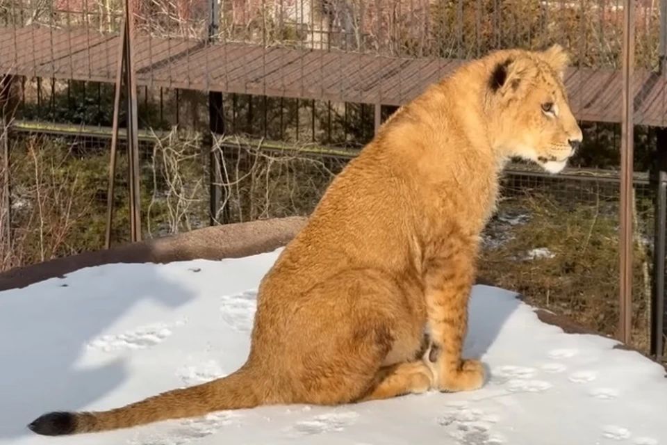 �������� ��� ������ ����� ������ ���� ����� ��������� � ����, �� ������ �� �����