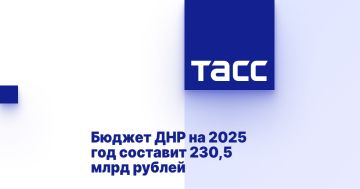 Бюджет ДНР на 2025 год составит 230,5 млрд рублей