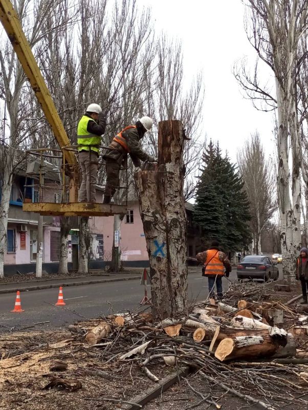 Михаил Меренков: Рабочий день Зеленстроя Буденновского района 27 декабря