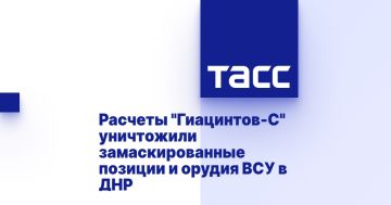 Расчеты "Гиацинтов-С" уничтожили замаскированные позиции и орудия ВСУ в ДНР