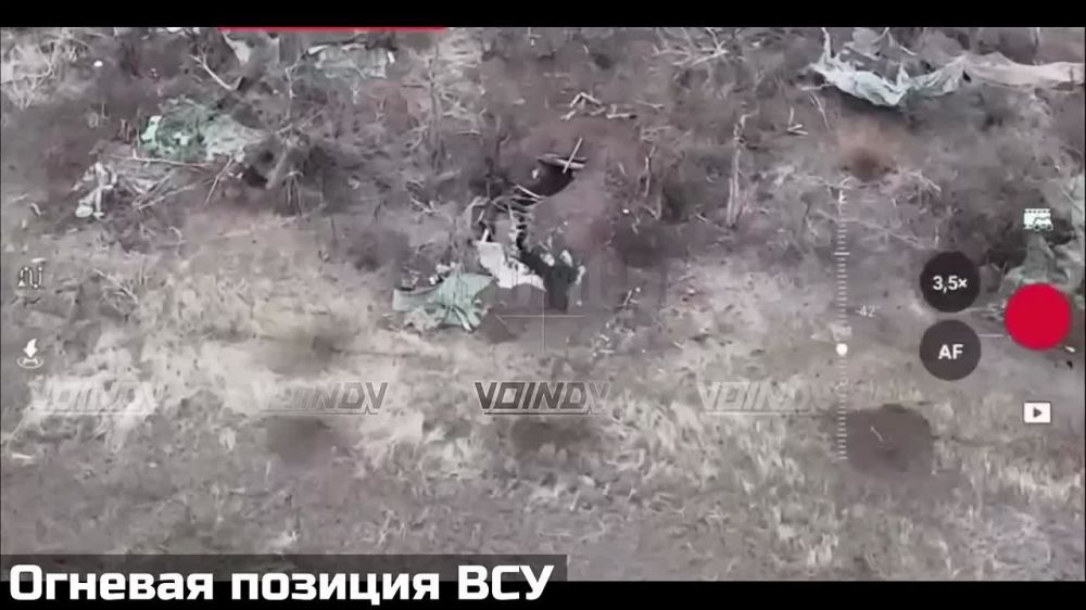 ��������� ���� 35 ����� ����������� "������" ���������� ����������� ����� ���� � ���������� ���������� �� ����-�������� �����������