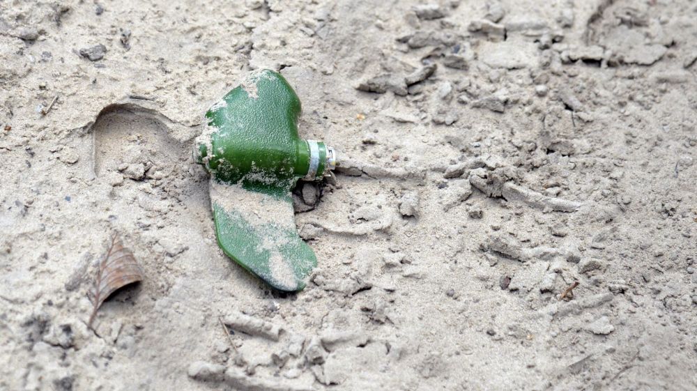 Журналист назвал отличие молодежи Донбасса от ребят из других регионов РФ