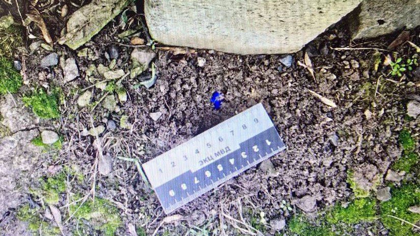 В столице Республики полицейские задержали наркосбытчика