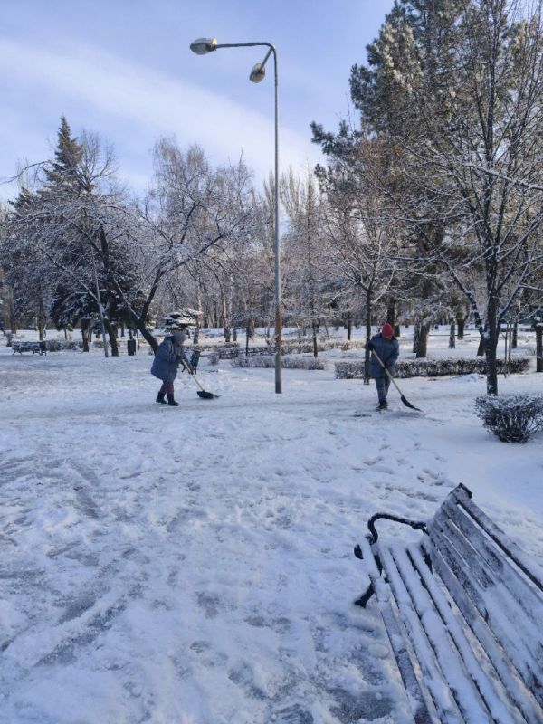 Наталья Бегуненко: Сотрудники коммунальных предприятий Петровского района выполняют работы по уборке от снега и посыпке противогололедными материалами улиц, дорожек и тротуаров