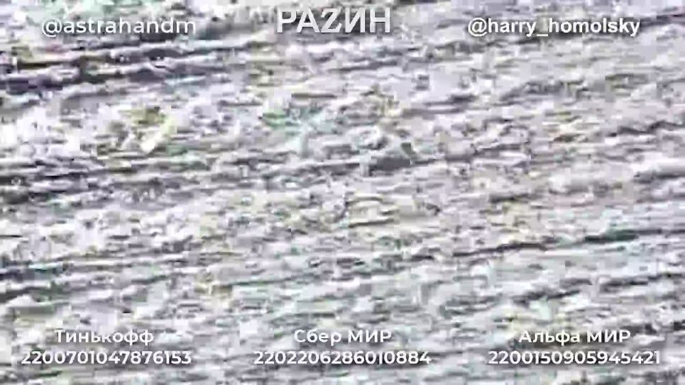 �������� �����: ������, ��������� � �������� ���������� � ������ ���������� �� ���������� �������� �������� ��� �������� ������ ��������, ������������ �� �������� �����������