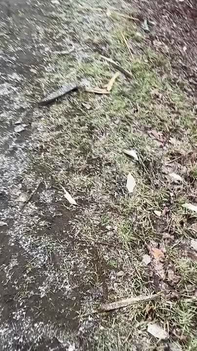 Чингис Дамбиев: Уничтоженный в районе н.п