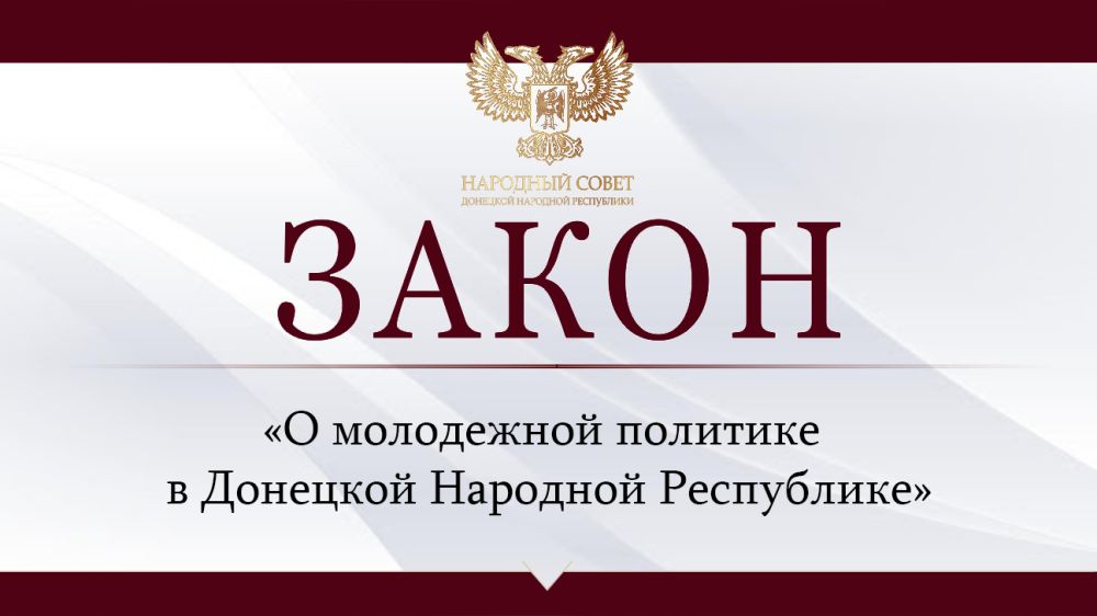 Принят Закон «О молодежной политике в Донецкой Народной Республике»