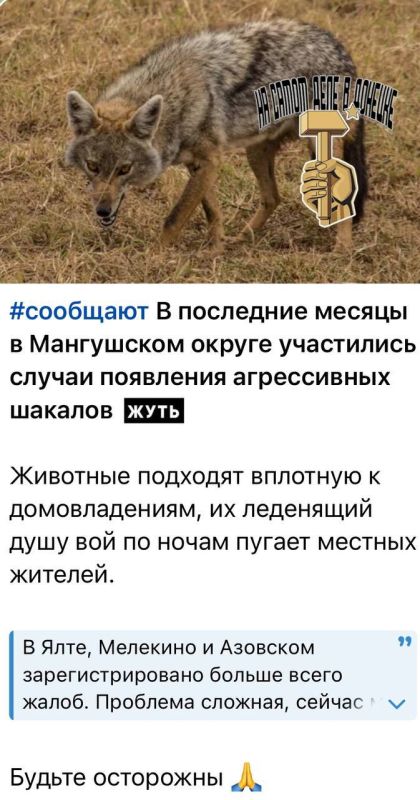 � ����������� ���� � �������� � ��� ���������� ������ ��������� ����������� �������!