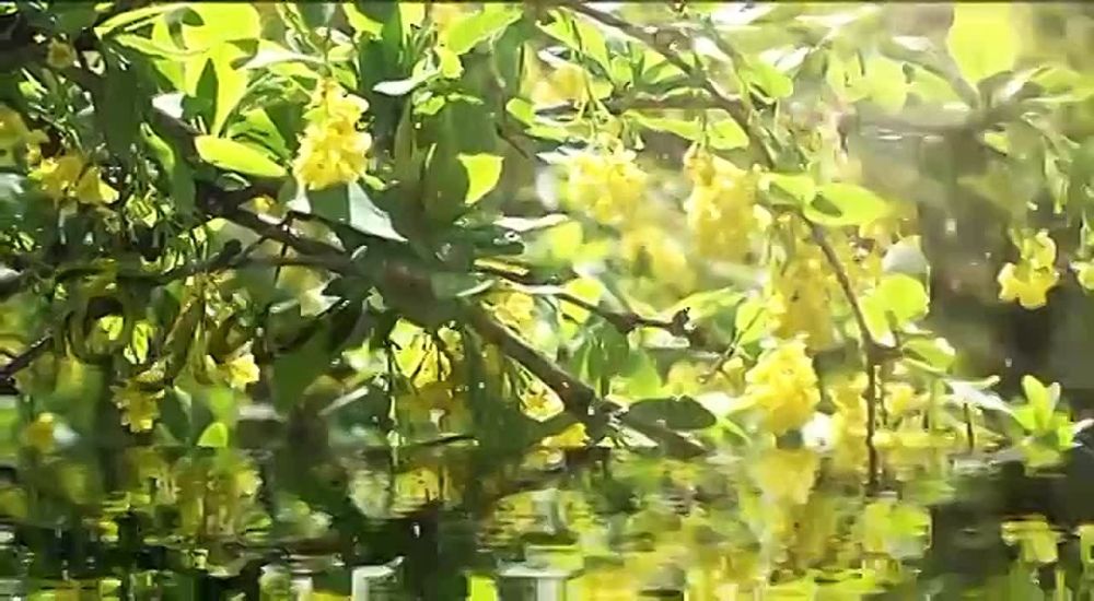 Елена Рязанцева: #ЕРДНР #ЕР80 #ЕдинаяРоссия #Пролетарский