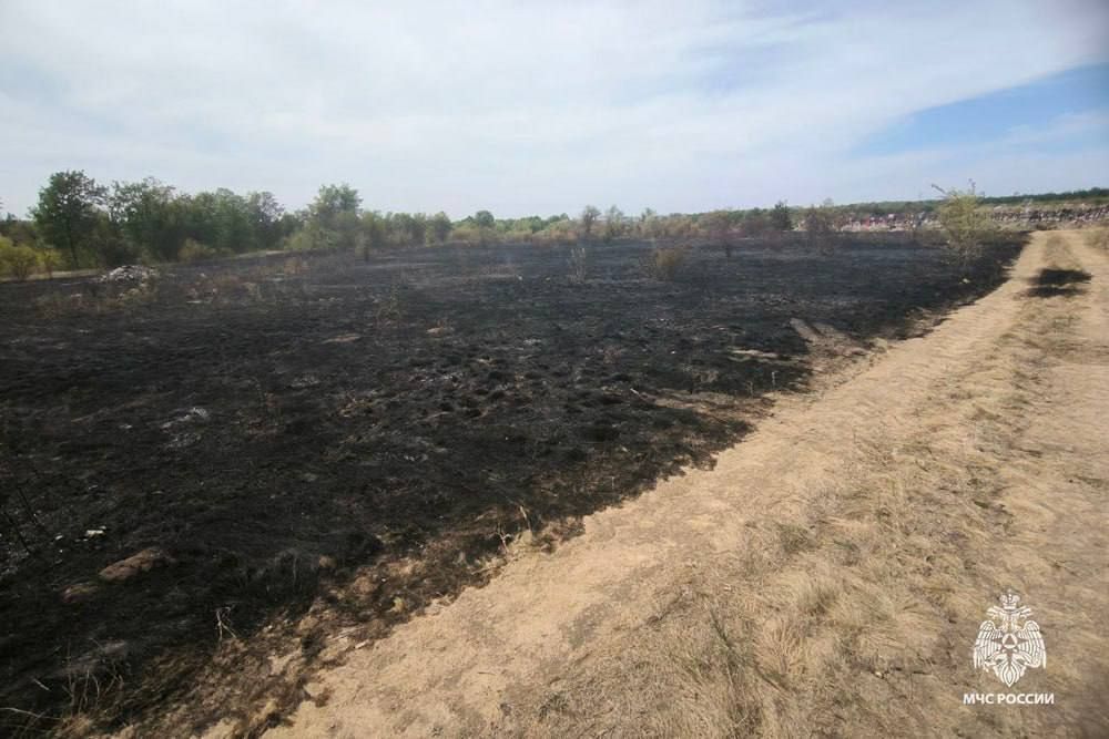 Поучительный урок. В конце августа горело Донецкое лесоохотничье хозяйство. Огонь повредил более 250 деревьев, ущерб от пожара превысил 125 тыс. рублей