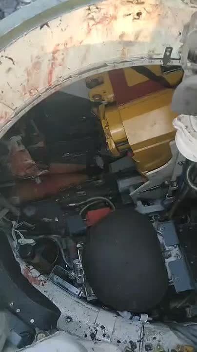 �������� ���� ���������� ��������� �� ����-�������� �����������