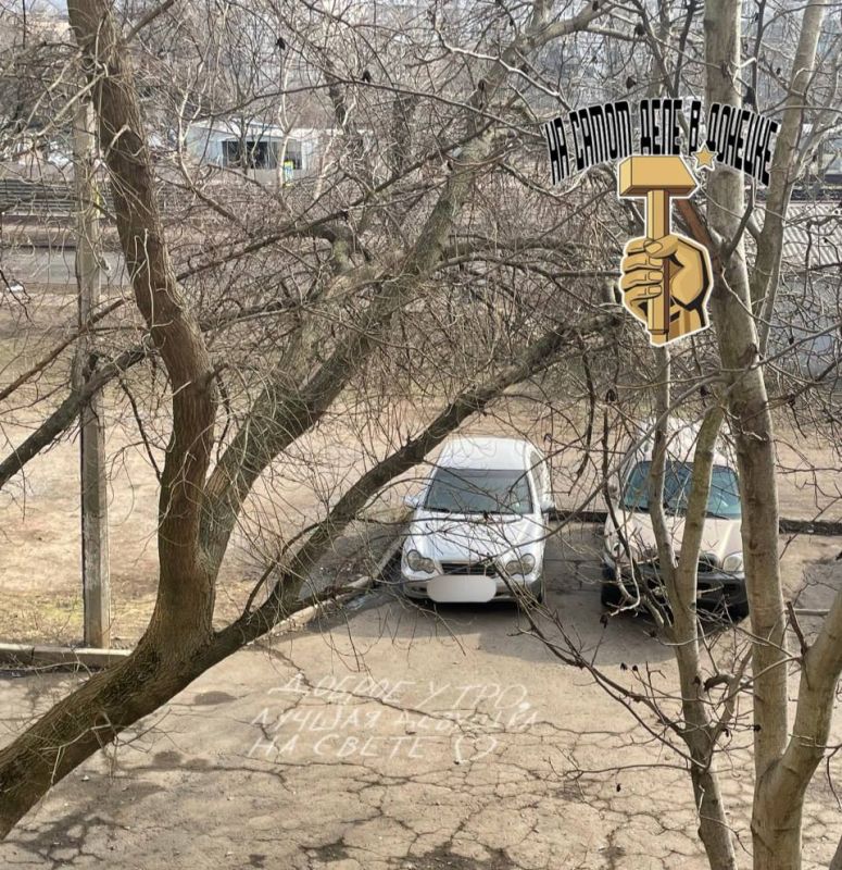 Мирных снов — родному Донецку