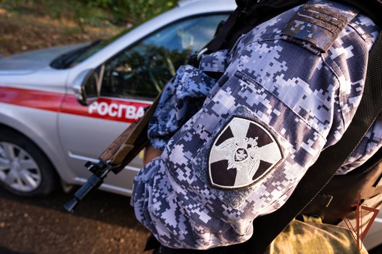 Росгвардейцы задержали правонарушителей в ДНР